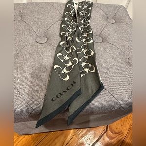 Coach Skinny Scarf